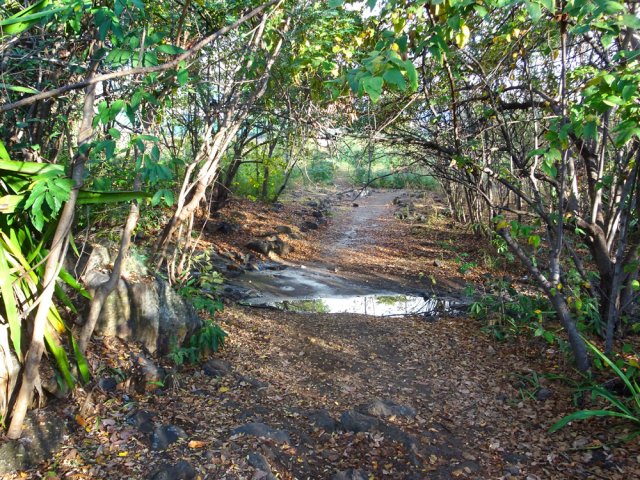 Franchir le gué de la Ravine Balthazar