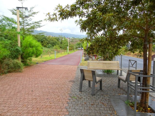 Possibilité de se reposer à l'ombre de ce benjoin