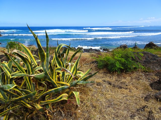 Courte balade en bord de mer pour rejoindre l'estuaire de la Ravine des Trois Bassins