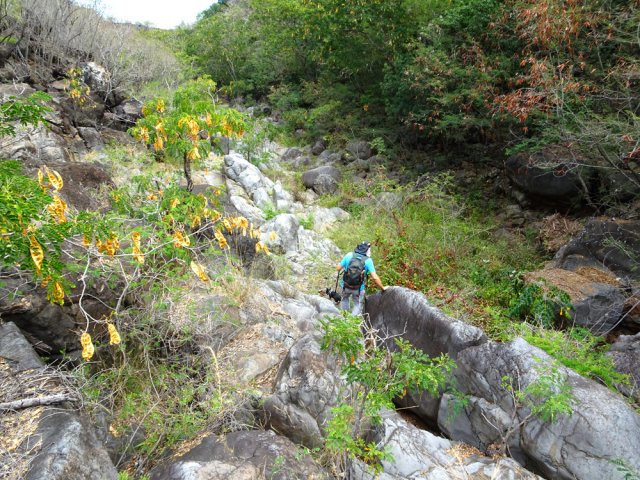La descente est plus rapide que la montée