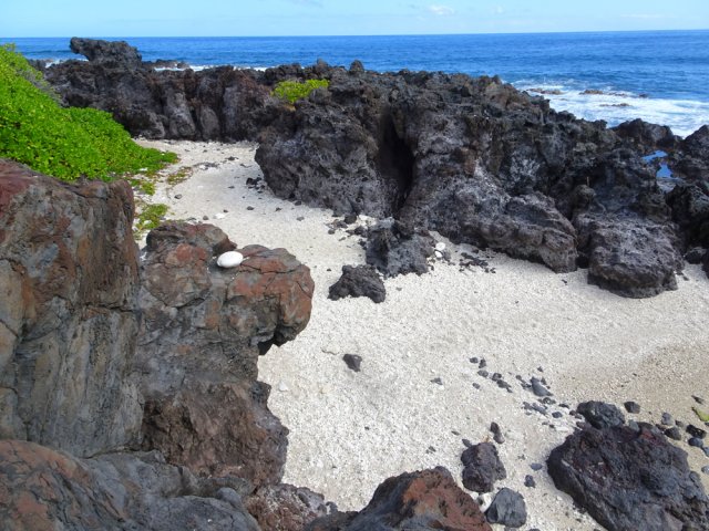 Plusieurs petites plages accueillent souvent des naturistes