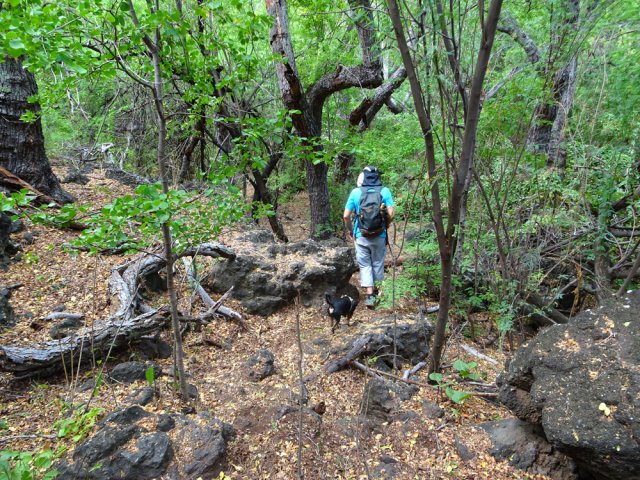 Petit détour par l'oratoire abandonné et la grotte