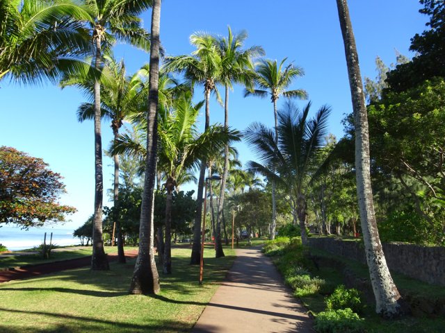 La piste sous les cocotiers