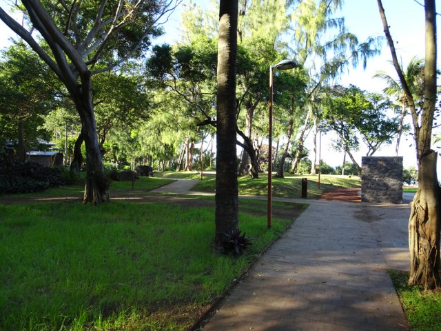 L'allée serpente à l'ombre