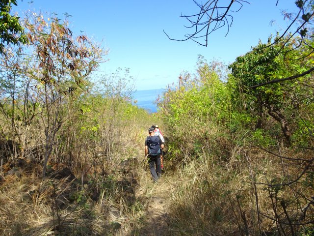 Vers le gué de la Ravine de Grand Etang