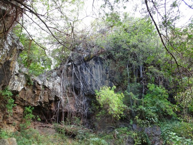 Ne pas manquer ce cassé de la Ravine de Grand Etang et ses nombreux affouches