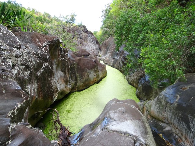 La très sauvage Ravine de la Fontaine en aval du gué