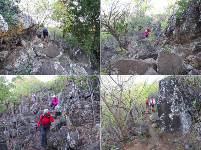Vers le gué de la Ravine du Petit Étang par un sentier très rocailleux