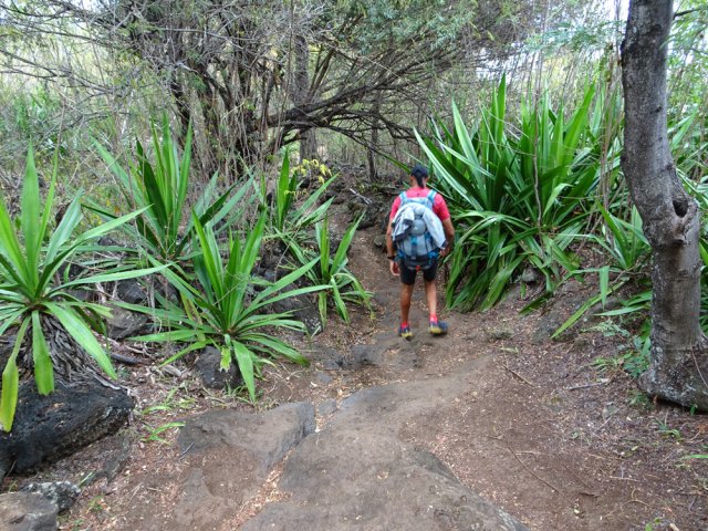 Début de la longue descente du Sentier Pavé qui ne l'est plus depuis longtemps