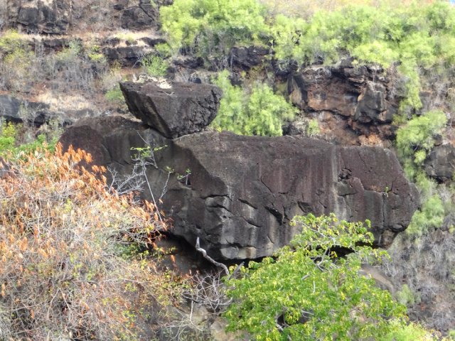 Un petit sentier mène à un point de vue sur la Roche Pâté