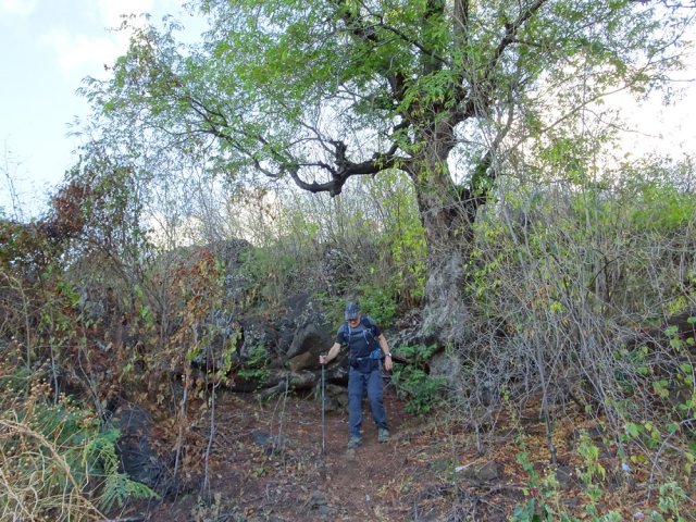 Descente vers le Chemin Dubuisson