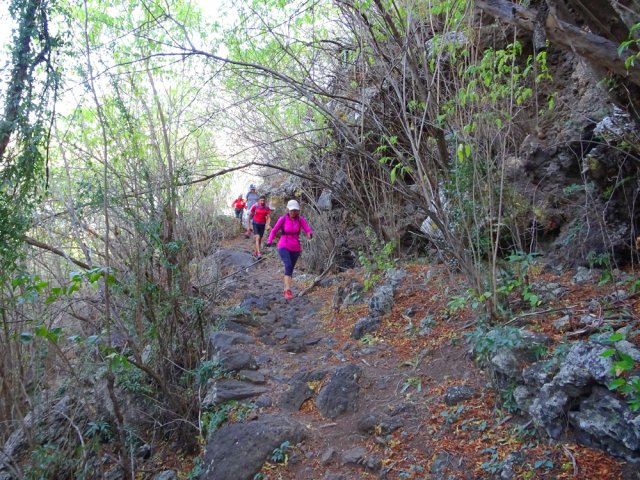 Vers la traversée de la Ravine des Poux