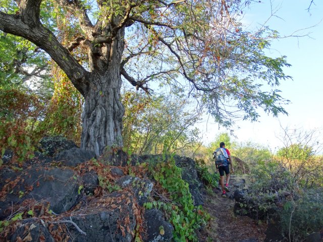 Remontée par le Sentier Canal