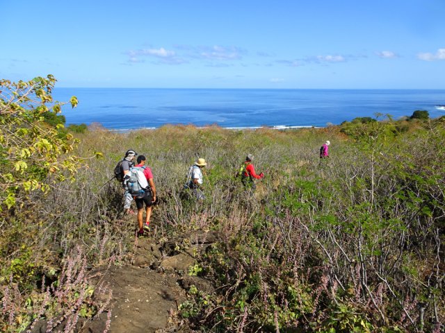La première boucle se termine en longeant la Ravine de Petit Etang
