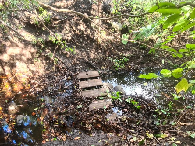 Ce gué sommaire, 50 m après le départ, peut rebuter