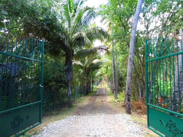 L'allée menant à la pisciculture et départ des canoës