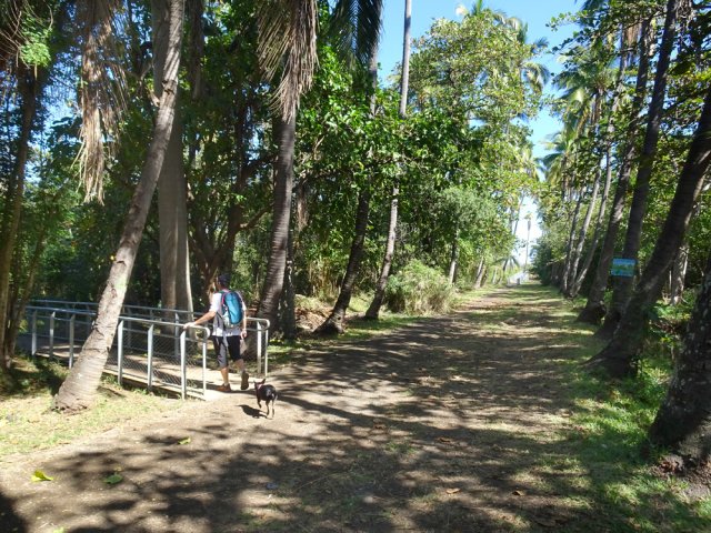 Début de la passerelle de 500 m