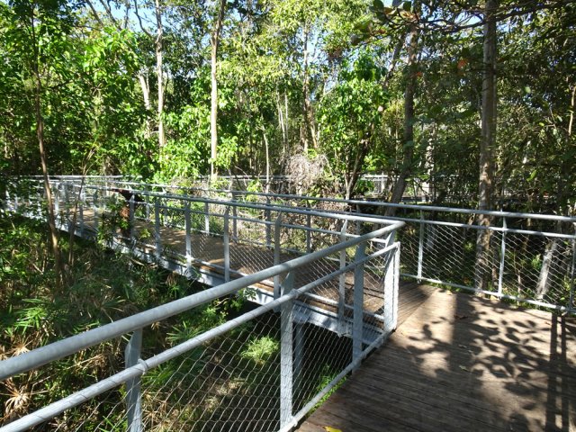 Il comporte quelques détours dans la forêt humide