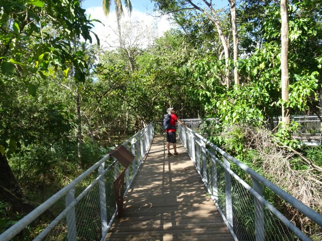Prendre son temps pour étudier la flore de cette région