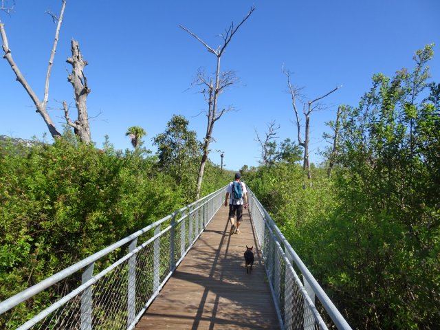 Espérons que la végétation n'envahira pas trop vite cette passerelle