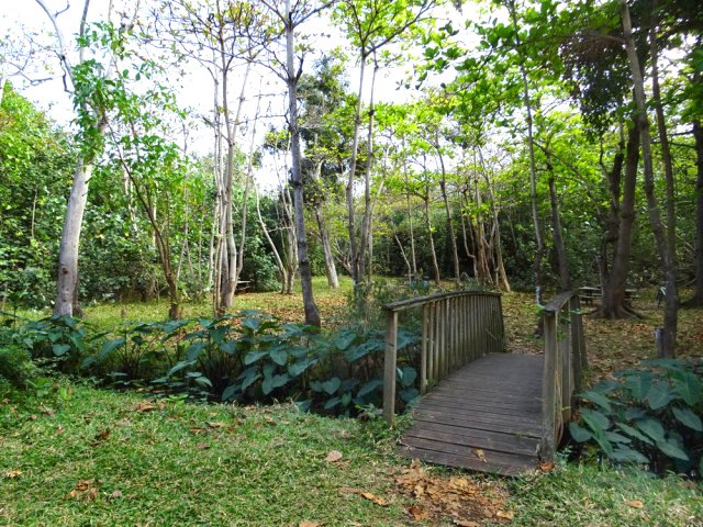 Les aires de pique-nique avant d'arriver au parking