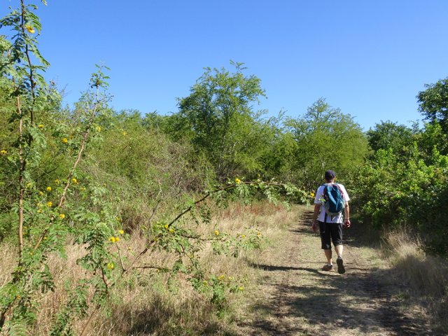 Prendre à gauche pour suivre une agréable piste