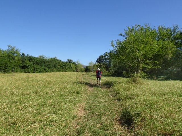 Une prairie où le sentier est toujours assez bien marqué