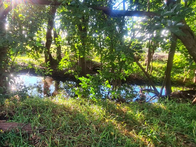 Le canal est plus avenant qu'au départ avec sa palette