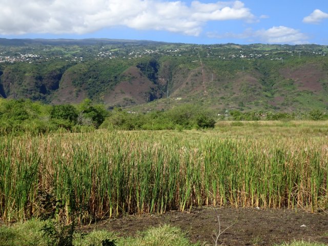 Points de vue sur les ravines Tête Dure et Laforge