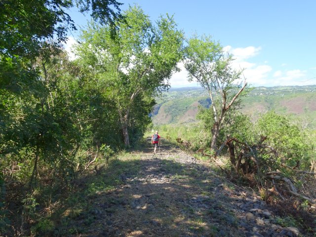 Longue ligne droite à 4 mètres au-dessus du marécage