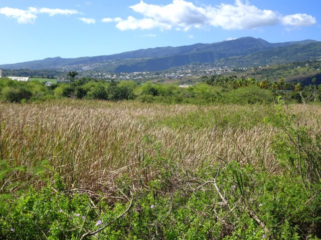 Il est même possible d'apercevoir la Roche Ecrite