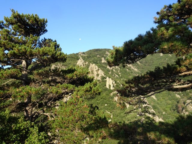 Une idée de la végétation et du relief