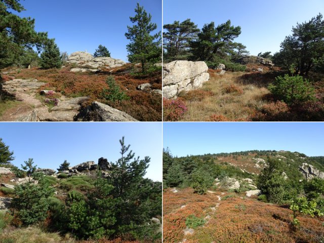 Magnifique sentier familial changeant de la portion des Mille Marches