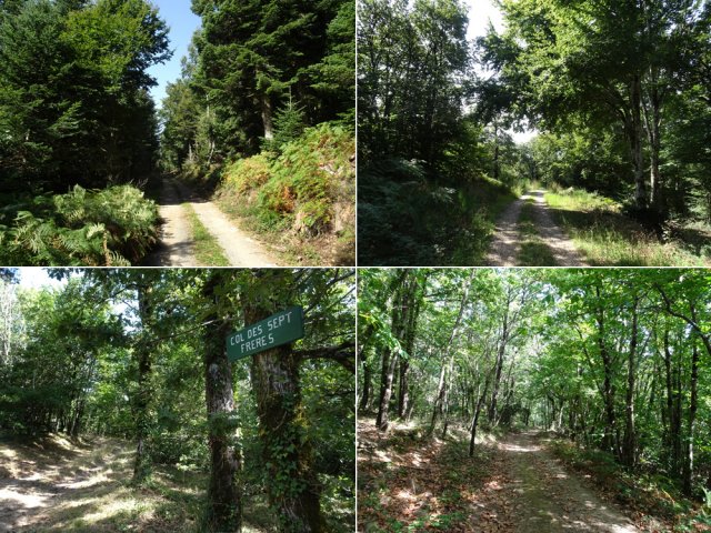 Les quatre pistes ombragée permettant de rejoindre Langlade