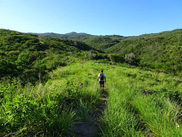 La piste DFCI se transforme en sentier herbeux avec beaux panoramas