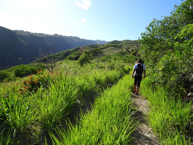 La Ravine de la Grande Chaloupe n'est jamais loin