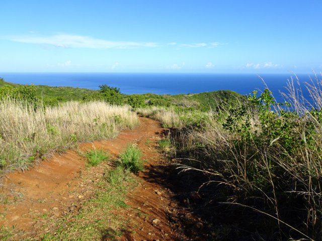 Plus haut on retrouve une piste