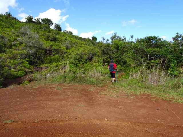 On retrouve le sentier dans un lacet de la piste