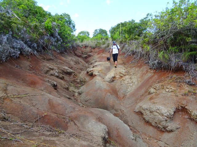 Même les ravines sont agréables à suivre
