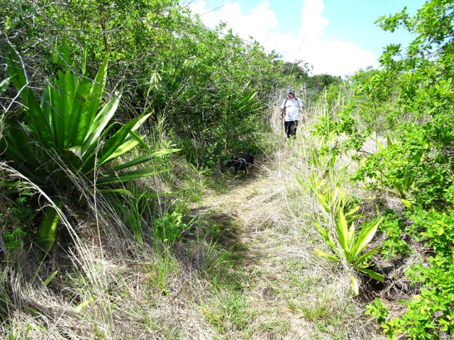 Le dernier sentier est moins fréquenté mais reste toujours très praticable