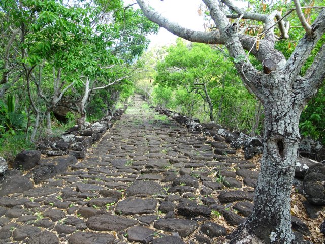 Nouvelle balade sur le Chemin Crémont en direction de la Ravine de la Petite Chaloupe
