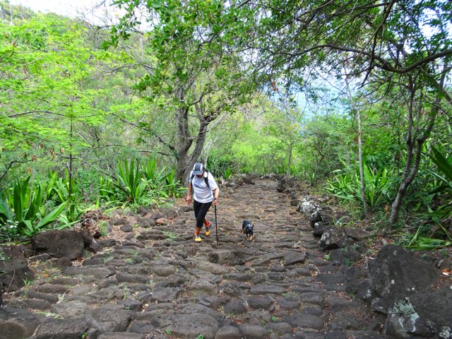 Forte pente après la ravine sur un sol surchauffé