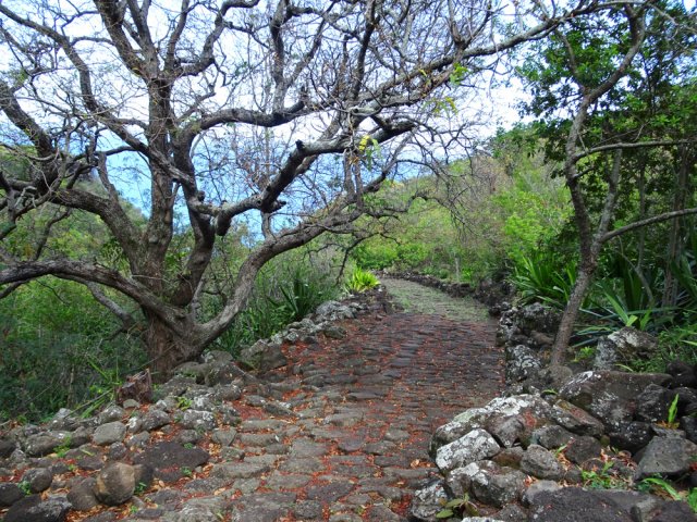 La fin du parcours permet d'apprécier le travail de la piste empierrée
