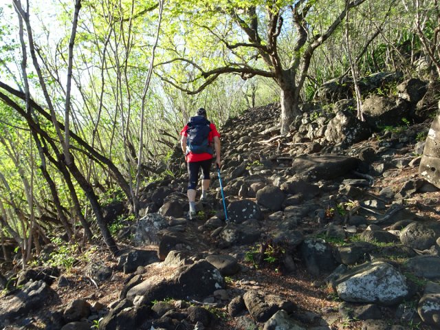 Une portion défoncée digne d'un fond de ravine