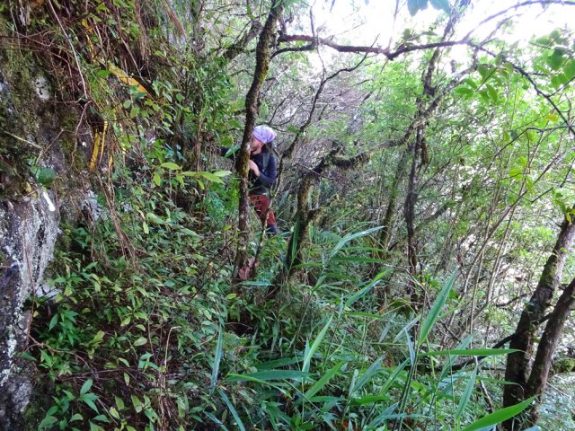 La place pour passer est suffisante mais attention au vide sur la gauche (à droite sur l'image)