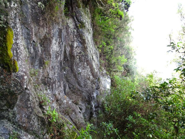 Une des falaises basaltiques visibles de la route en direction de la Fenêtre