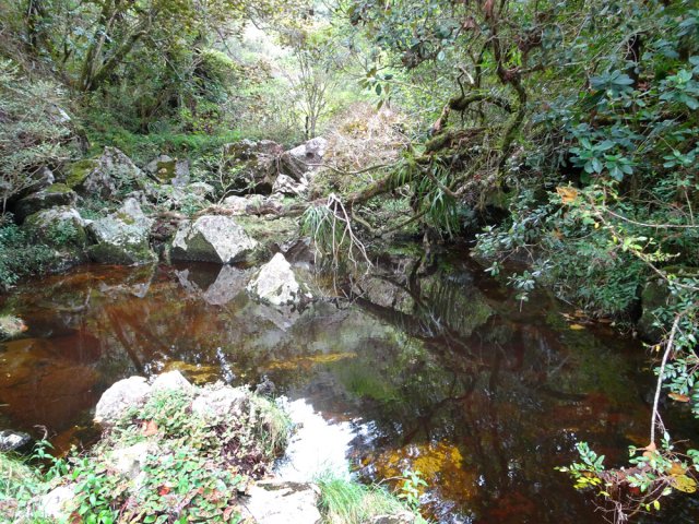 Le Bras de Caverne au fond très glissant montre de petits bassins ferrugineux