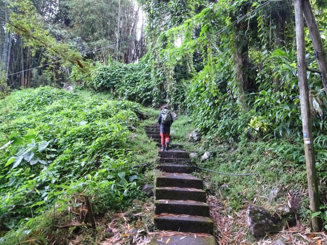 Et les chouchous, il n'en manque pas !