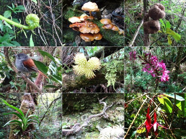 La nature est hostile mais tellement belle