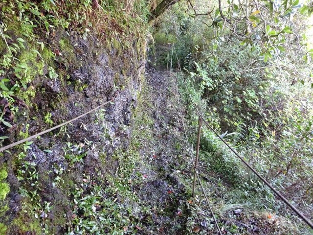 Un des quelques passages sécurisés dans la grimpée